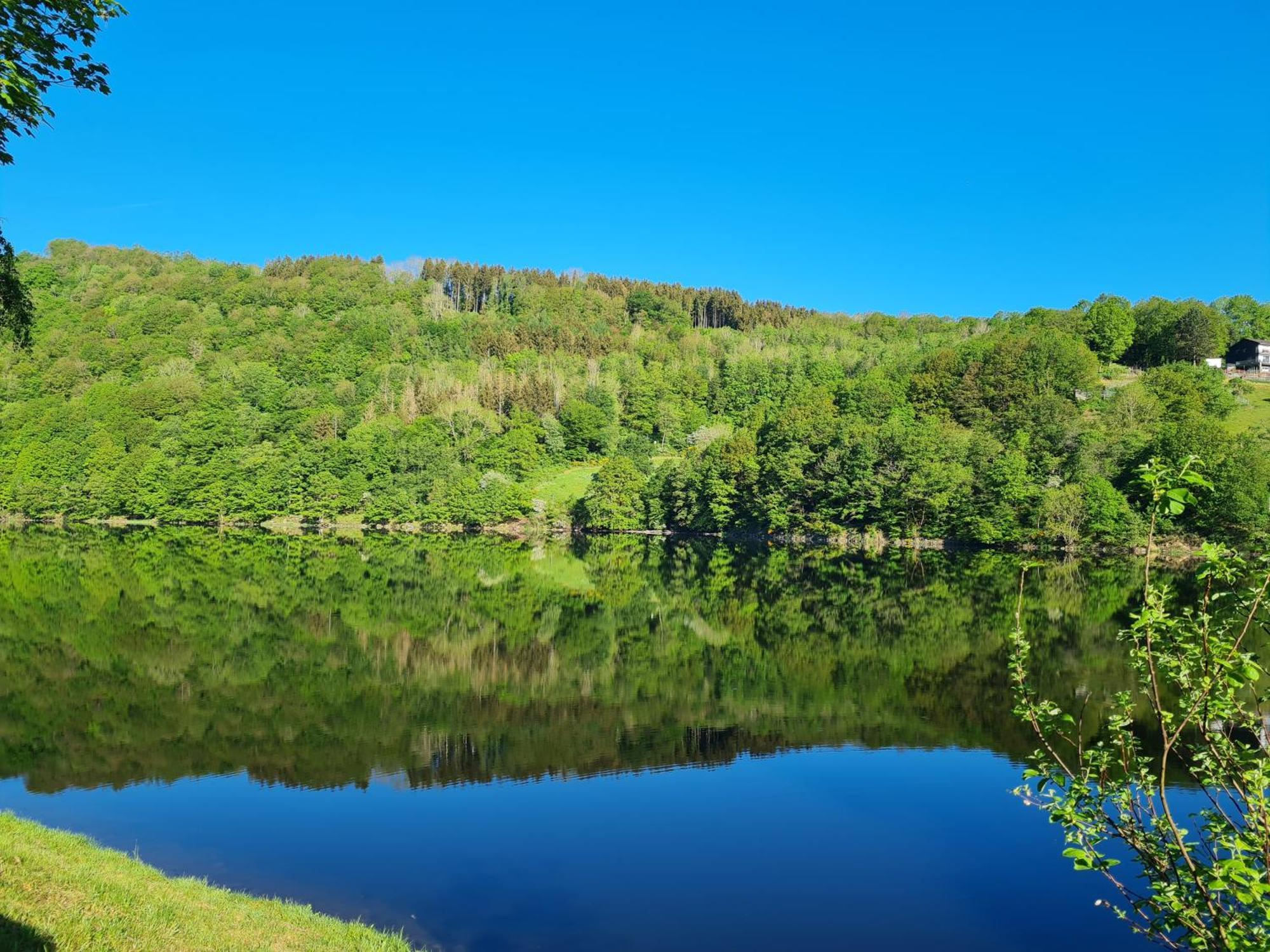 Ferienwohnung Am Rursee -Wohnung 2 Simmerath Buitenkant foto